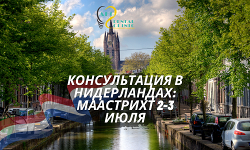 Консультации в Нидерландах
